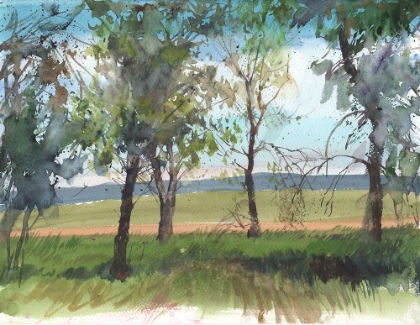 Picture of SUNNY LANDSCAPE WATERCOLOR