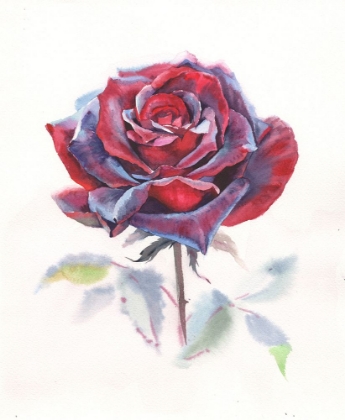 Picture of SEDUCTIVE COLOR. WATERCOLOR ART