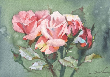 Picture of ROSES