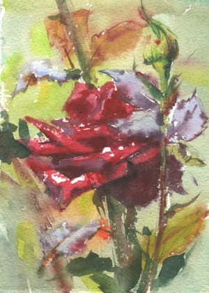 Picture of SPICE ROSE WATERCOLOR PAINTING