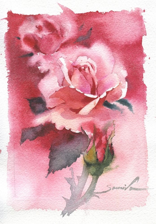 Picture of ROSE WATERCOLOR FLOWERS