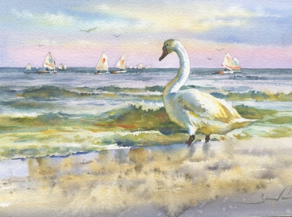 Picture of SEA AND BIRDS