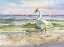 Picture of SEA AND BIRDS