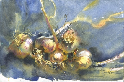 Picture of STILL LIFE PAINTING WATERCOLOR GARLIC
