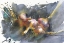 Picture of STILL LIFE PAINTING WATERCOLOR