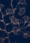 Picture of GINKGO MINIMAL CONTEMPORARY BOTANICAL FLORAL