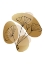 Picture of GINGKO LEAVES