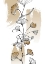 Picture of GINKGO NEUTRAL