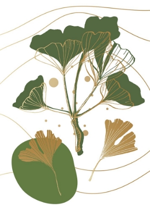 Picture of GINKGO 5