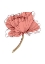 Picture of POPPY 6