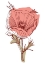 Picture of POPPY 9