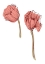 Picture of POPPY 12