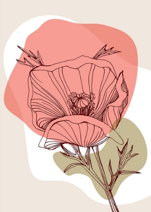 Picture of POPPY  BLOSSOM