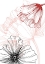 Picture of POPPY ABSTRACT