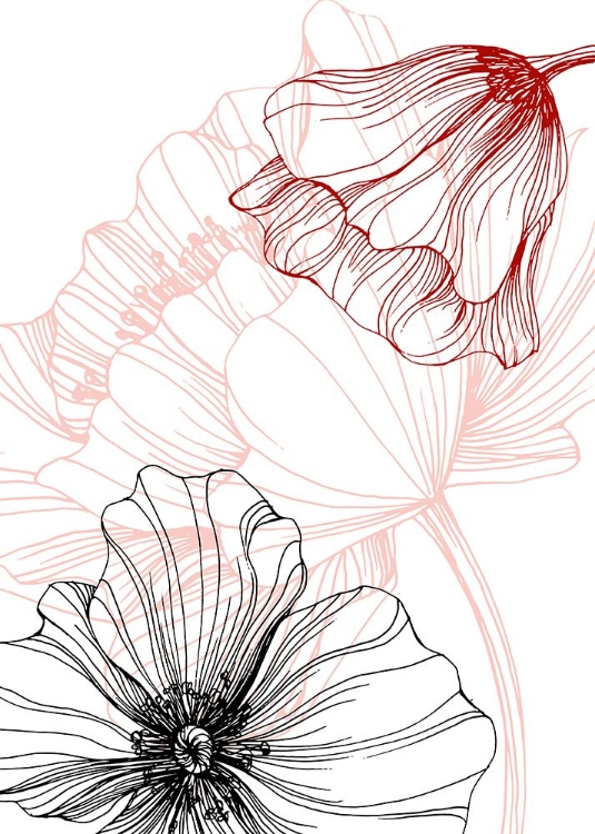 Picture of POPPY ABSTRACT