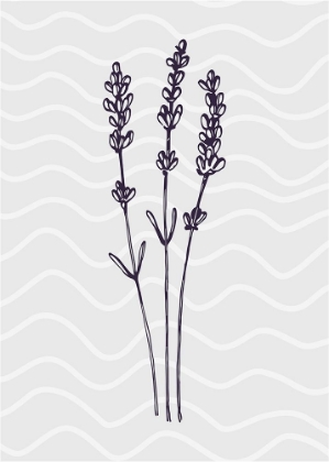 Picture of LAVENDER 3