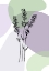 Picture of LAVENDER FLOWER