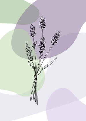 Picture of LAVENDER MINIMALISTIC