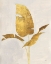Picture of GILDED PALM BOTANICAL II