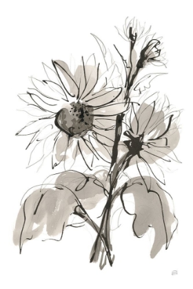 Picture of INK SUNFLOWER I