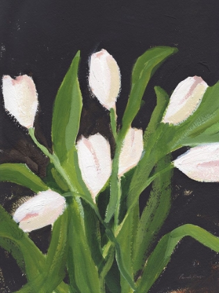 Picture of WHITE TULIPS ON BLACK (1)