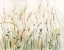 Picture of IN THE MEADOW