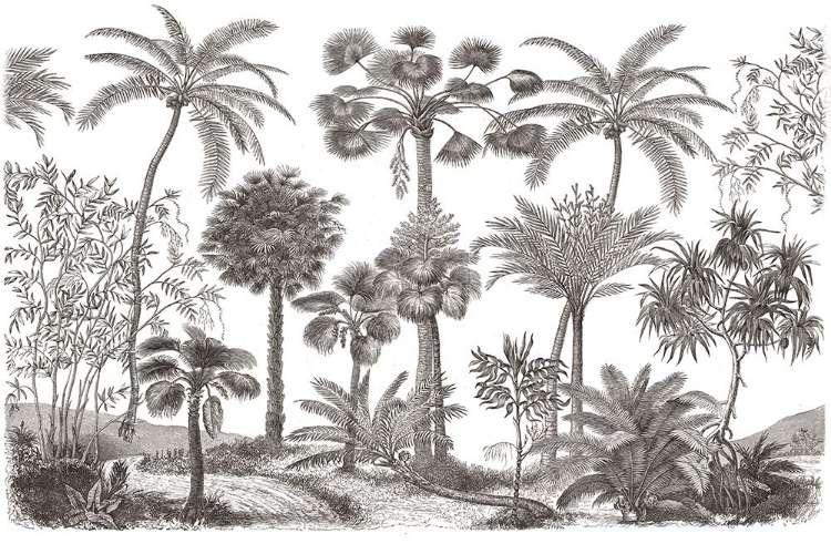 Picture of PALM OASIS III