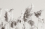 Picture of IN THE WIND II
