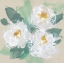 Picture of PEONIES ON CREAM II