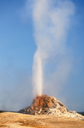 Picture of WHITE DOME GEYSER