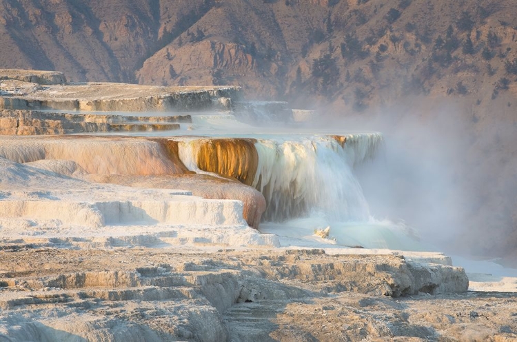 Picture of TERRACES OF CANARY SPRING