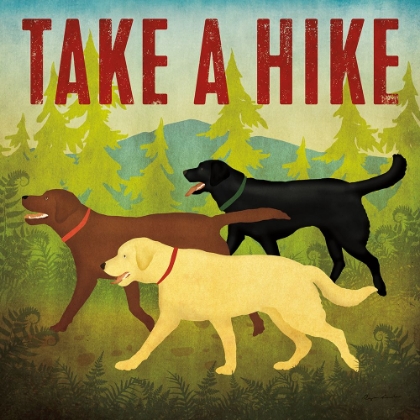 Picture of TAKE A HIKE LAB II