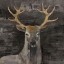 Picture of THE LEADER DARK