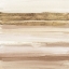 Picture of GOLD AND BROWN SAND I ORGANIC
