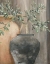 Picture of SIMPLICITY II