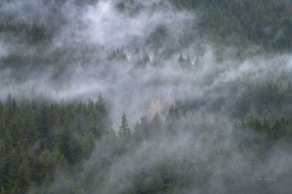 Picture of MISTY MOUNTAINS NORTH CASCADES