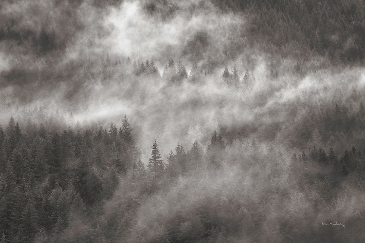 Picture of MISTY MOUNTAINS NORTH CASCADES