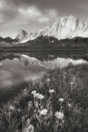 Picture of PRONGHORN AND DRAGON HEAD PEAKS BW