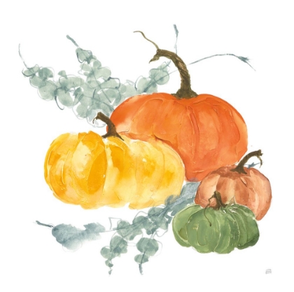 Picture of PUMPKINS AND EUCALYPTUS I