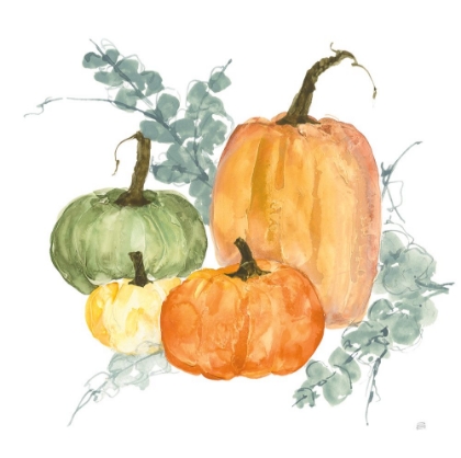 Picture of PUMPKINS AND EUCALYPTUS II