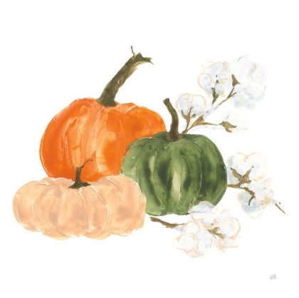 Picture of PUMPKINS AND COTTON I