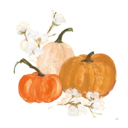 Picture of PUMPKINS AND COTTON II