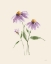Picture of WILD BLOOMS I