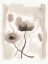 Picture of SEPIA FLORALS II