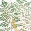 Picture of FOREST FINDS VI