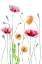 Picture of POPPIES