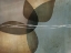 Picture of ORGANIC SHAPES 2
