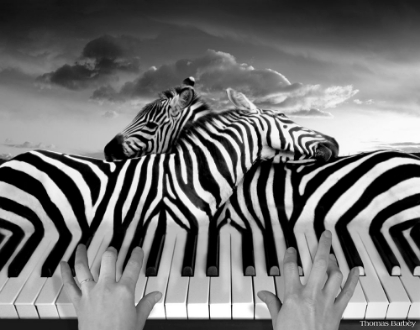 Picture of PIANO PEACE