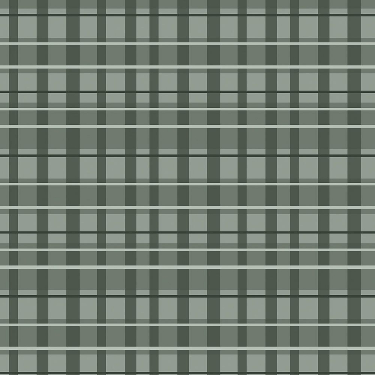 Picture of SILVER PLAID