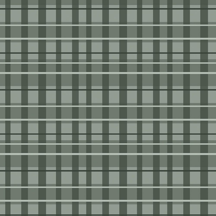 Picture of SILVER PLAID